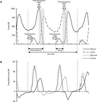 Contribution and effectiveness of ski and pole forces in selected roller skiing techniques on treadmill at moderate inclines